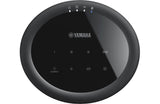 Yamaha MusicCast 20 (WX-021)